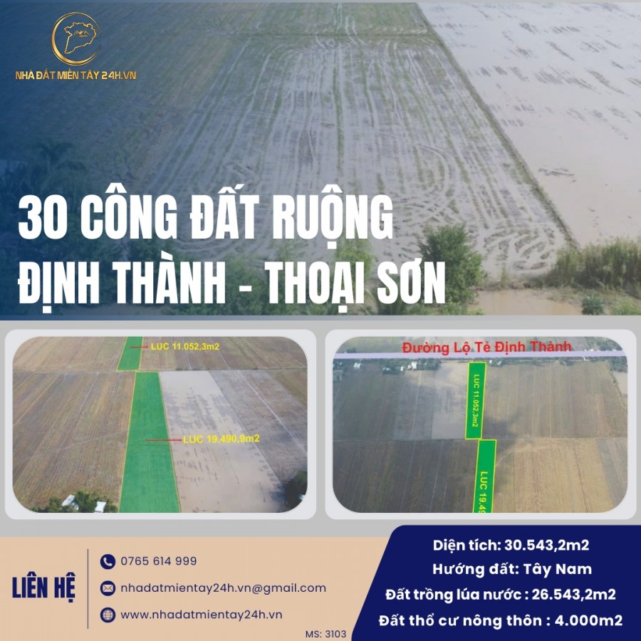 🌟 ĐẦU TƯ NGAY: 30 CÔNG ĐẤT RUỘNG VỊ TRÍ ĐẸP TẠI ĐỊNH THÀNH, THOẠI SƠN, AN GIANG (MS: 3103) 🌟